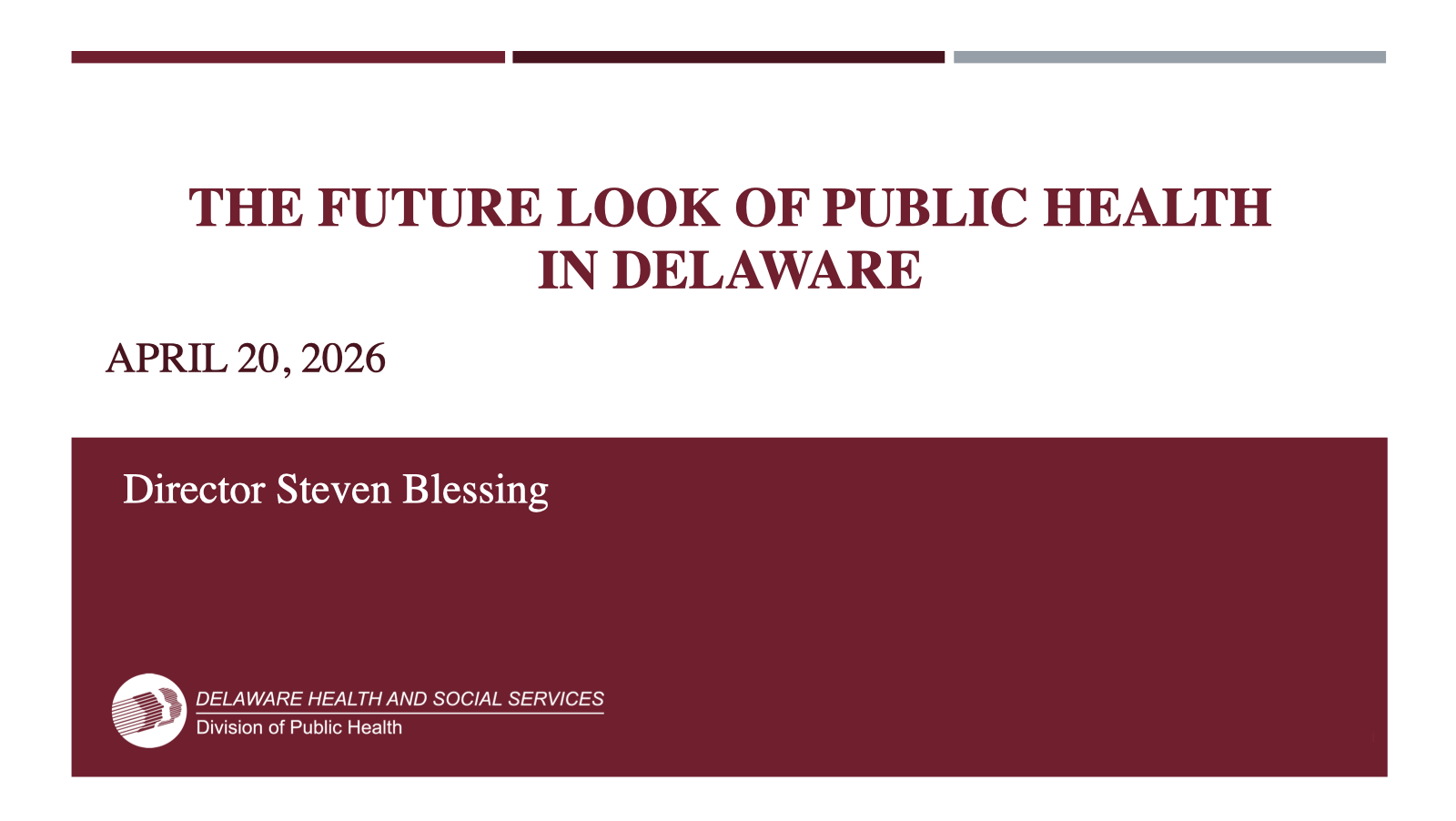 Preview image for the Delaware public health of the future presentation